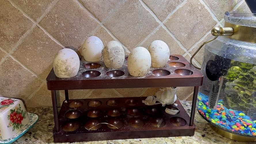 Wooden Egg Holder, Acacia Wood Egg Tray, 12 Holes Egg Plate For Kitchen