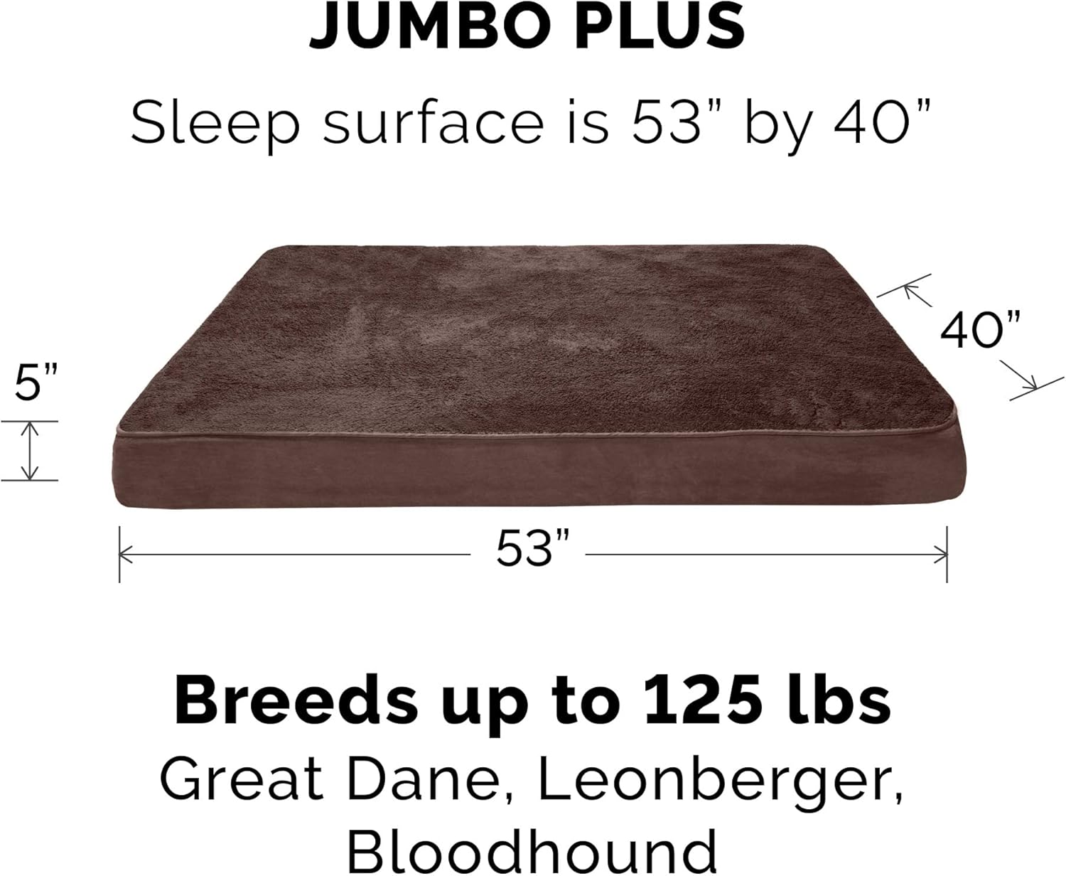 Ultimate Comfort: Furhaven Jumbo Plus Dog Bed Cover Review