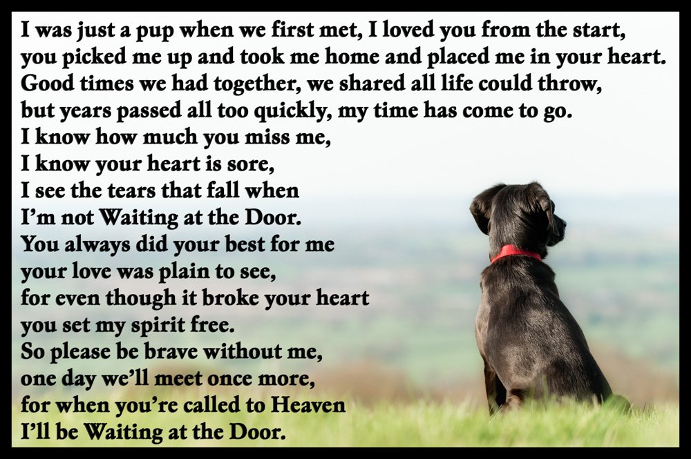 Black Labrador Pet Dog Loss Bereavement Memorial Flexible Fridge Magnet - Waiting at The Door