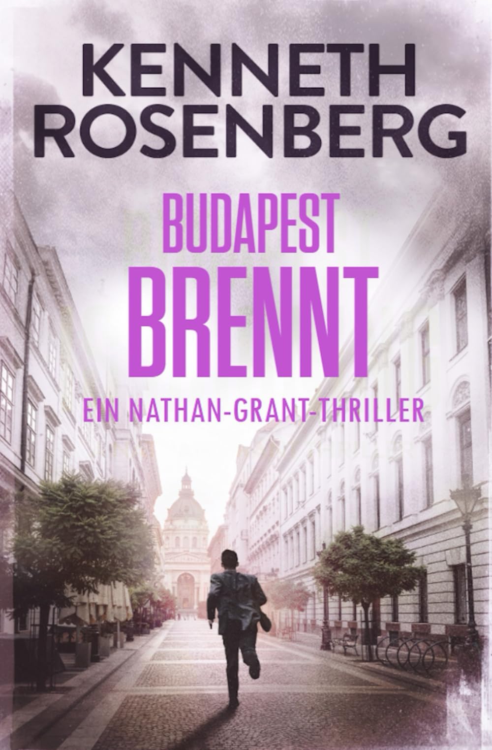 Budapest brennt (Ein Nathan-Grant-Thriller #6)