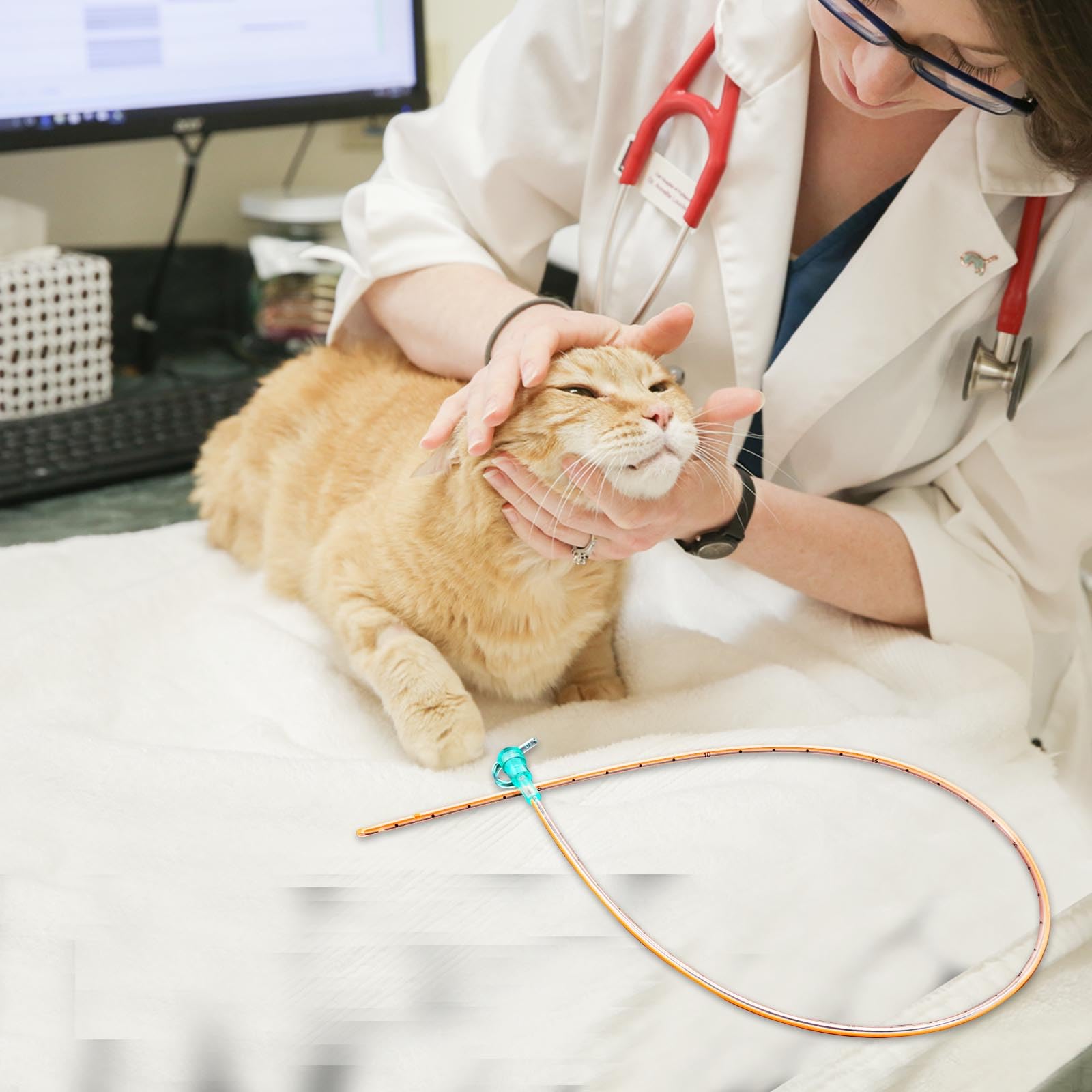 5 PEZZI Sonda Nasogastrica per Animali Domestici – Sonda per Alimentazione Nasale per Gatti e Cani, Sonda per Alimentazione Veterinaria per Supporto Nutrizionale, Resistente e Sicura.
