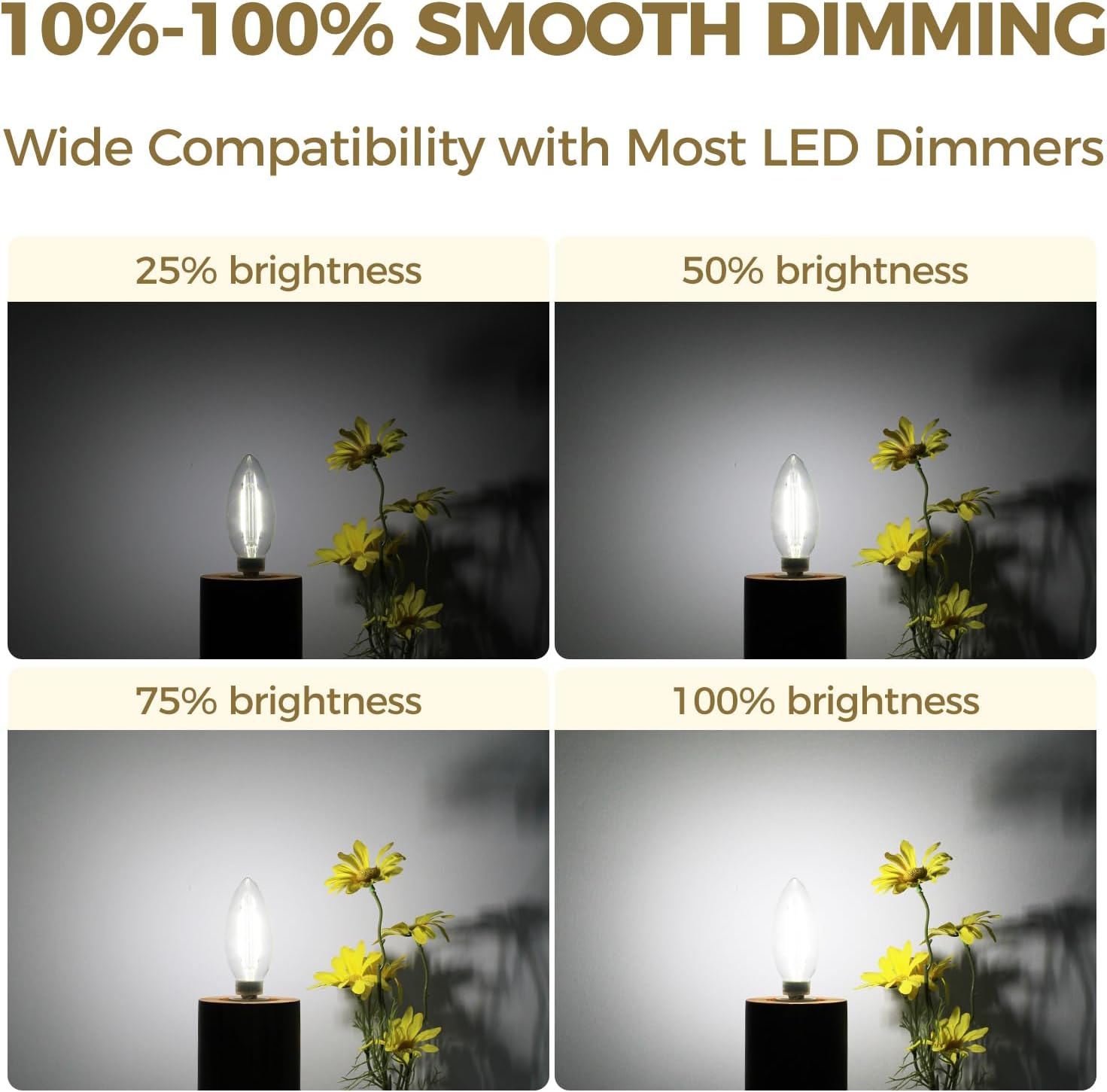 Hizashi E12 LED Bulb Dimmable 60 watt Equivalent, Chandelier Light Bulbs 5000K Daylight, Candelabra Light Bulbs, B11 LED Candle Bulb, 90+CRI, 6W 550LM, UL Listed, 12 Pack