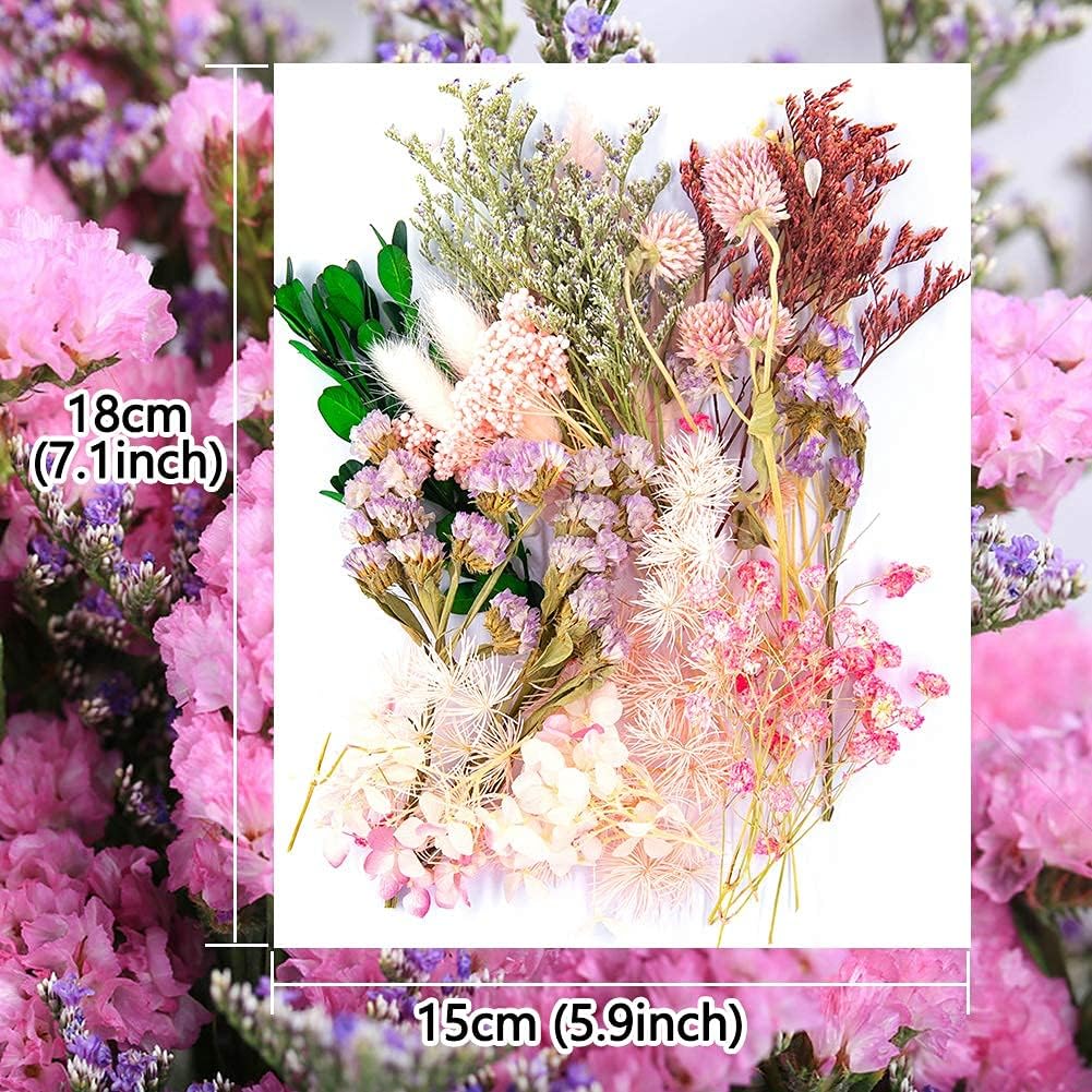 iDattel Natural Dried Flowers Set for Arts and Crafts DIY Resin Jewelry and Cards Making (Light Pink) - Image 3