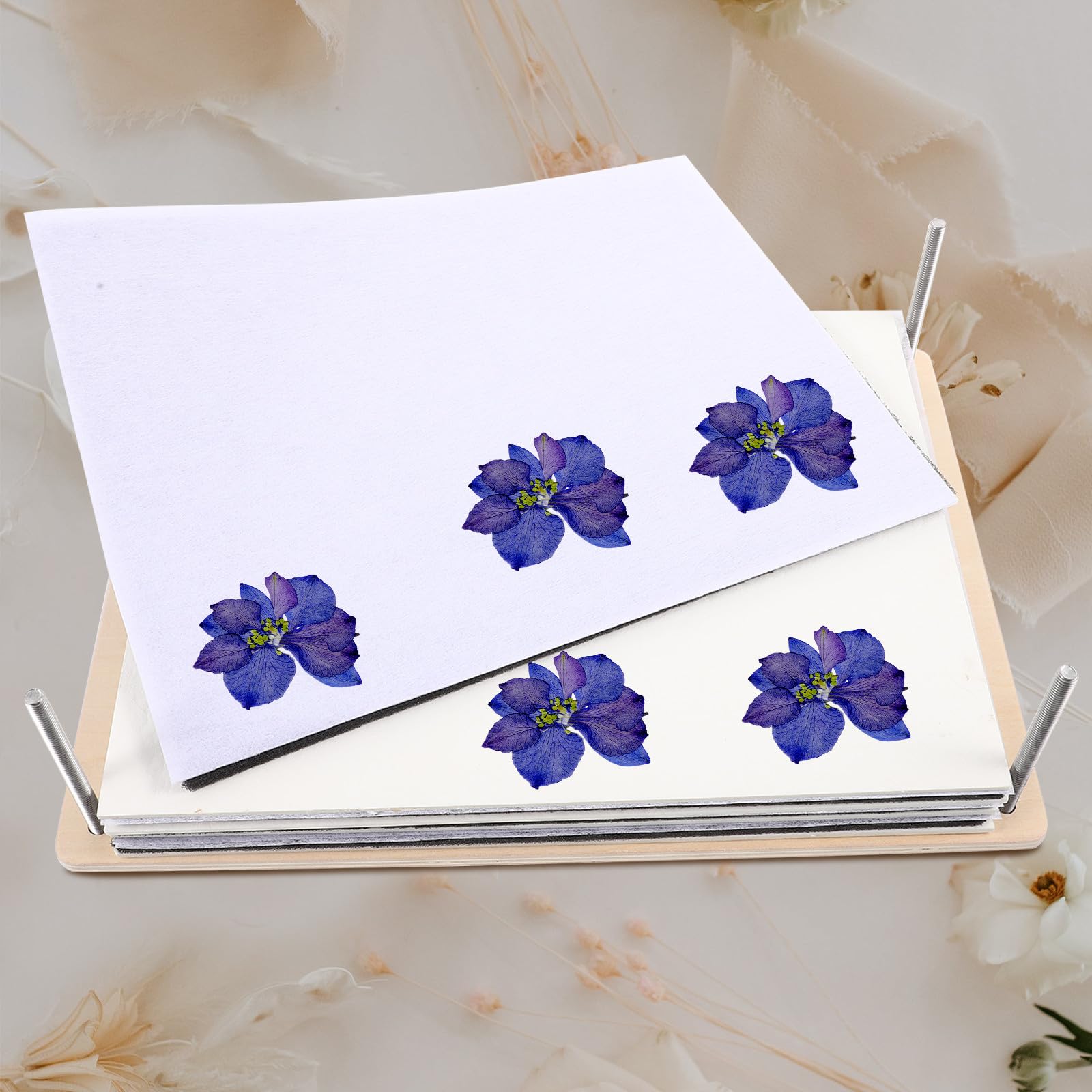 COOLHIYA 1set Pressa per Fiori Professionale Kit DIY con Strumenti per Pressatura Piante e Foglie Pressa Erbario Multistrato per Conservazione Fiori e Foglie Strumento Didattico Naturale