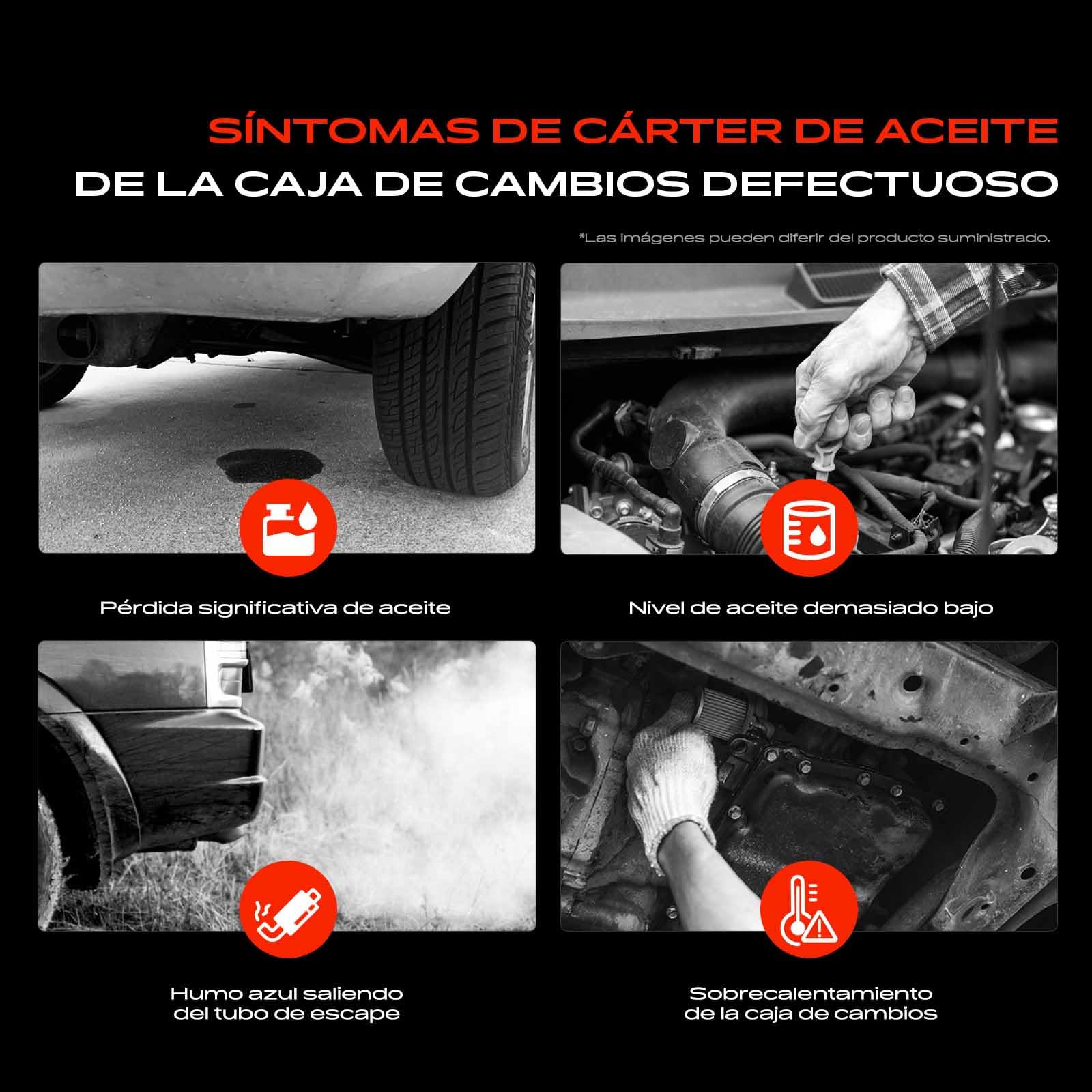 Frankberg Cárter de aceite 09L321359 | Compatible con: A4 8EC, A8 4E2 4E8, A6 4F2, A6 Avant 4F5, A4 Avant 8ED