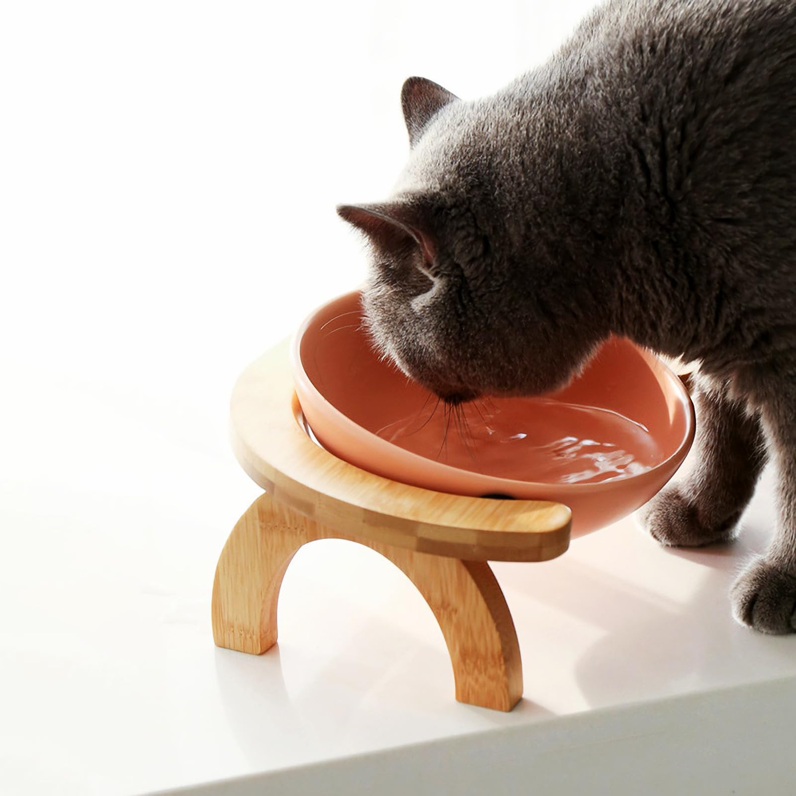 Comedero para Gatos Tazón para Mascotas Elevado Fácil de Limpiar Cerámica y Madera Soporte de Madera Blanco para Gatos y Perros en Casa y Tienda de Mascotas