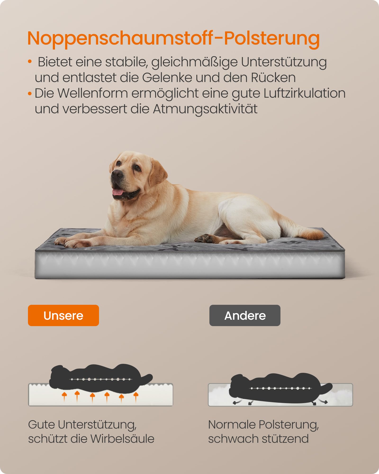 Feandrea Hundebett, Hundekissen waschbar, Hundematte abnehmbar, wasserdicht, 120 x 74 x 8 cm, Größe XXL, für große Hunde, Taubengrau PGW244G01