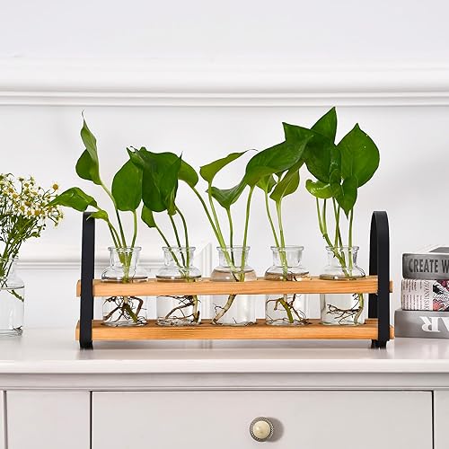 Miniatura 7 de Estaciones de propagación de plantas con soporte de madera, terrario de plantas de escritorio para propagación hidropónica, florero para decoración