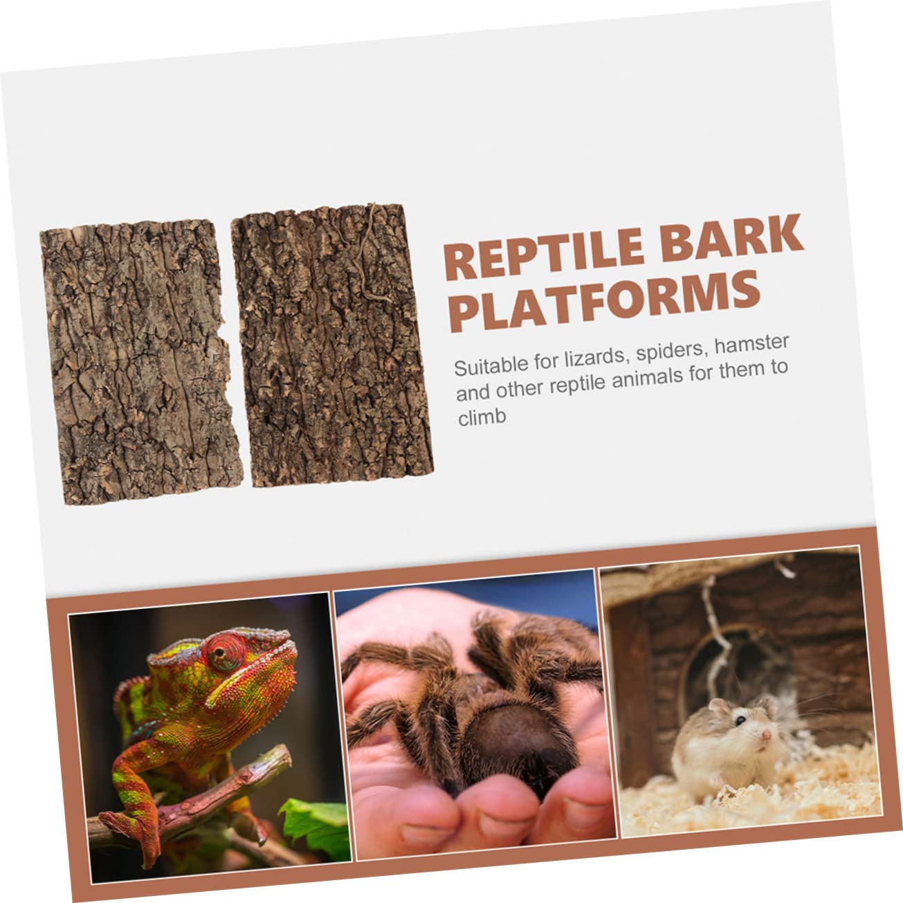 Toddmomy 3pcs Reptile Bark Mount Vivarium Decoration Artificial Reptile Platform Reptile Wooden Cork Tile Bark Tiles Indoor Plants Access Mat Decorate Terrarium Tree Bark Animal 3d Hamster - Image 3