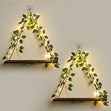 Floating Shelves for Wall,Plant Wall Decor,Hanging Shelf,Cottage Core Decor,Room Decor Aesthetic,Trinket Shelf,Hanging Shelves,Floating Shelves for No Drilling,Two-Piece Set