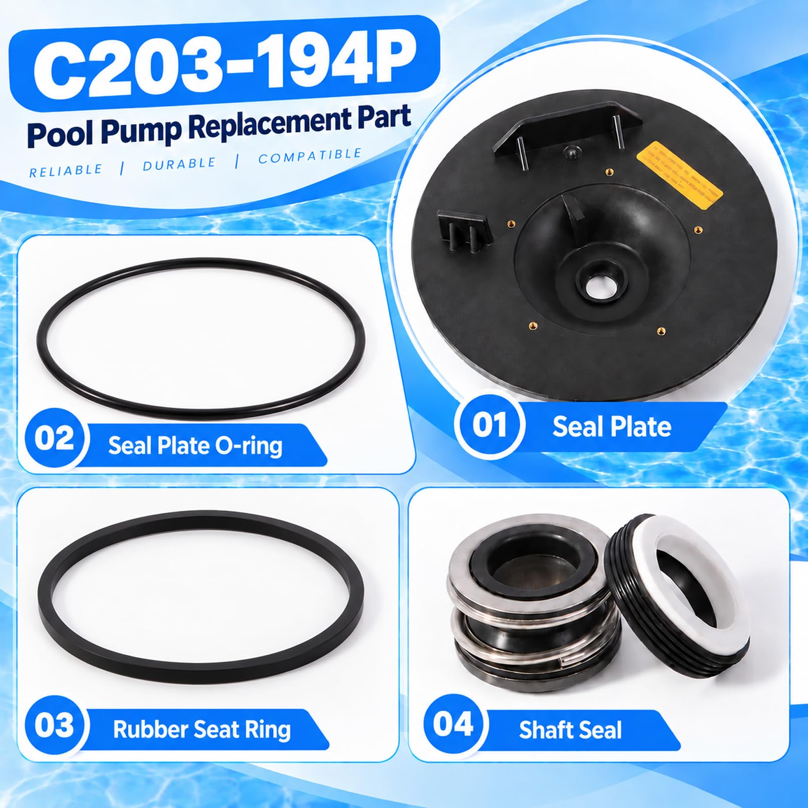 C203‑194P - Kit de placa de sellado para bomba Pentair para