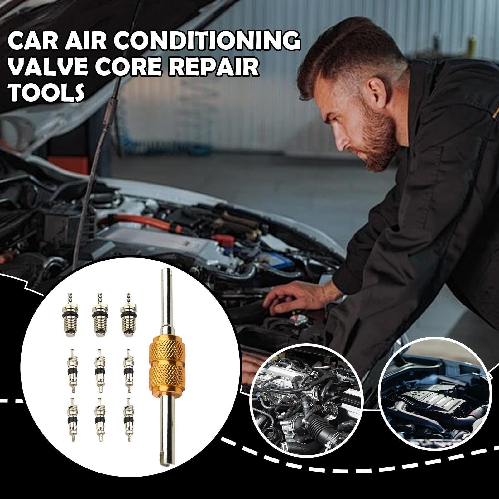 Kit nucleo valvola AC – Strumenti di riparazione aria condizionata auto, set di 10 nuclei valvola R134a con guarnizioni ad alta pressione, nucleo refrigerazione camper, ricambi auto AC per garage