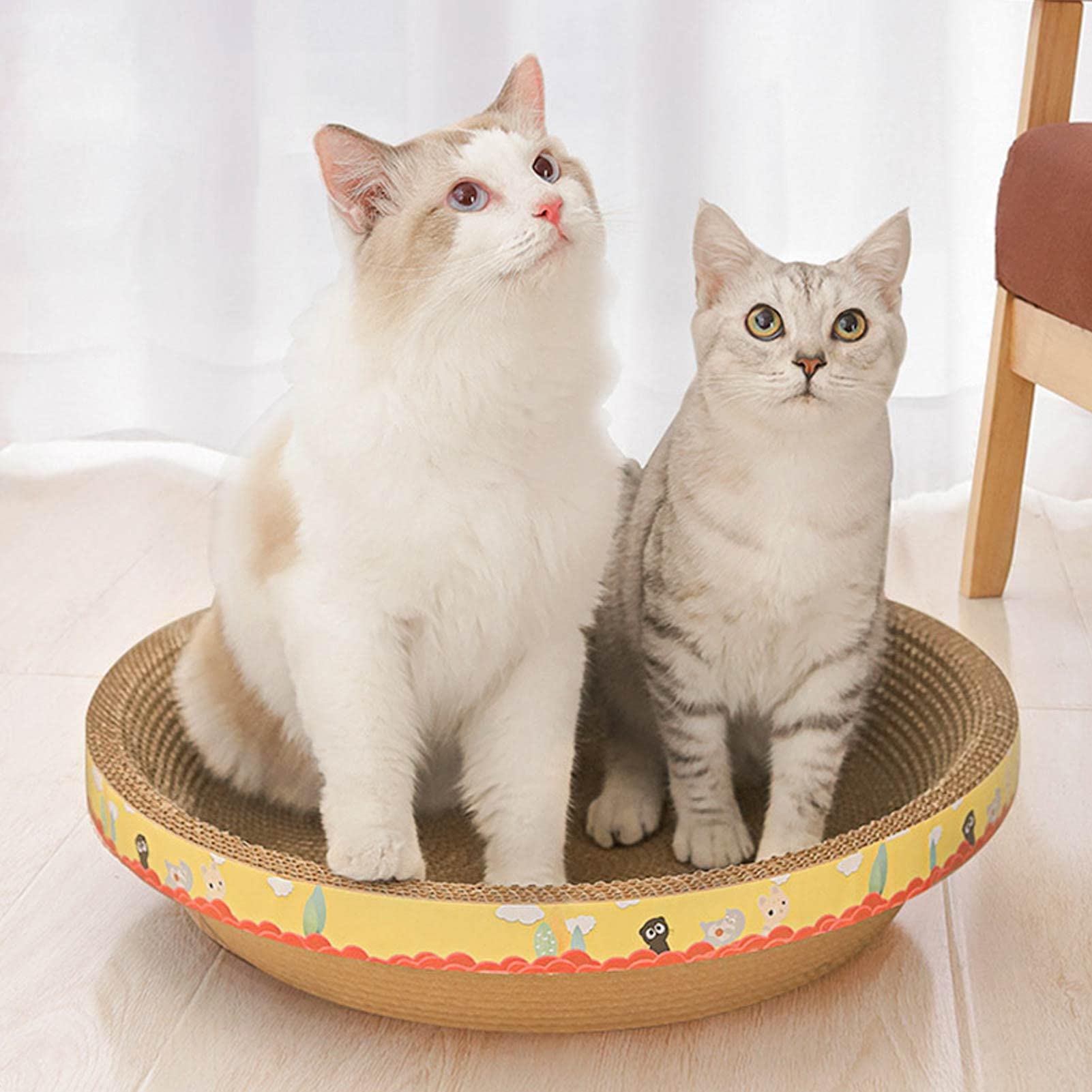 Cuccia Per Gatti In Cartone Rotonda - Con Catnip, Graffiatoio E Letto, Design Ecologico - Foto 11