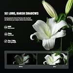 NEEWER RF1-S Marco Ring Flash Light Compatible avec Sony Camera, 76Ws GN15 5600K TTL Éclairage, 1-1/128 Sortie Rideaux avant/arrière Sync Couleur Gels Anneaux d'adaptateur de lentilles pour Macro Photo Studio
