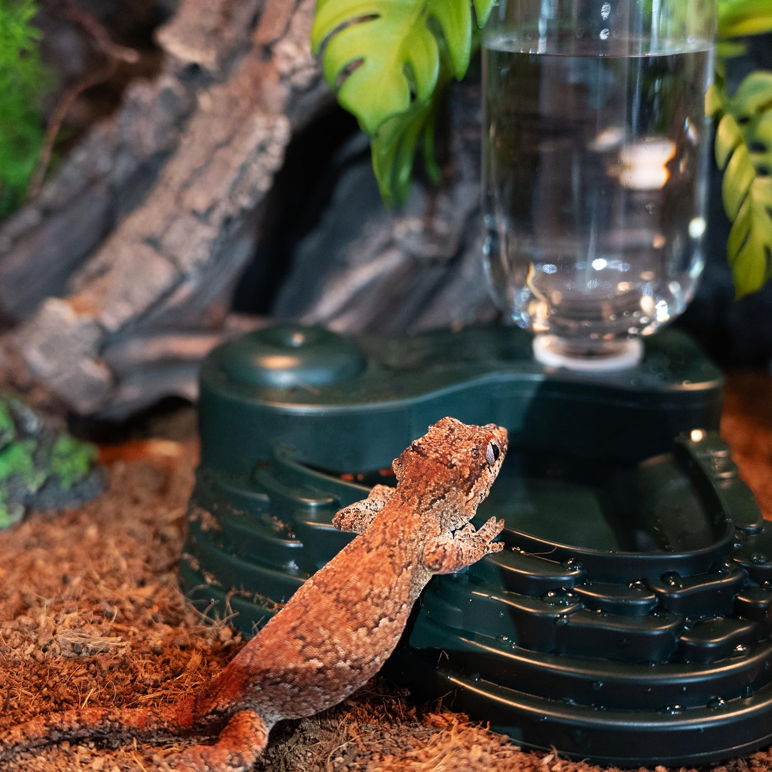 REPTI ZOO Comedero de agua y nebulizador, humidificador 2 en 1 para reptiles con cuenco de agua, dispensador de agua automático para camaleón, rana, lagarto y geco