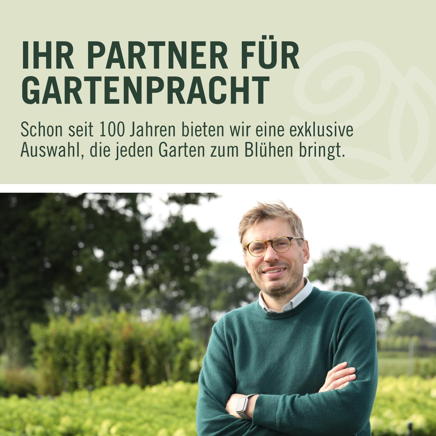 Rose Jazz® - Bodendeckerrose mehrfarbige Blüten in Orange Apricot Gelb - Kleinstrauchrose Pflanze Duftend Winterhart Halbschattig Mehltau-Resistent von Garten Schlüter - Pflanzen in Top Qualität