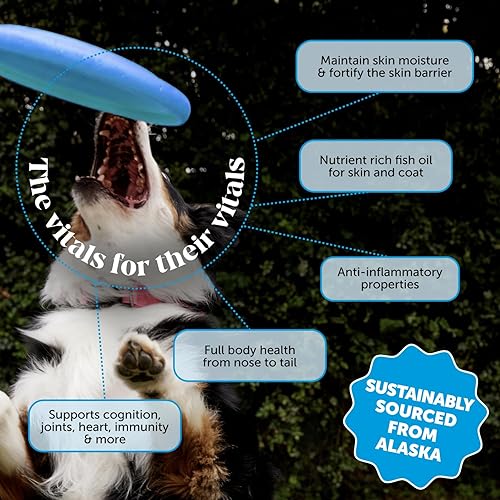 Miniatura 2 de Aceite de salmón salvaje de Alaska, aceite de pescado omega-3 para perros y gatos, ácidos grasos, aceite de salmón para perros, salud de la piel y