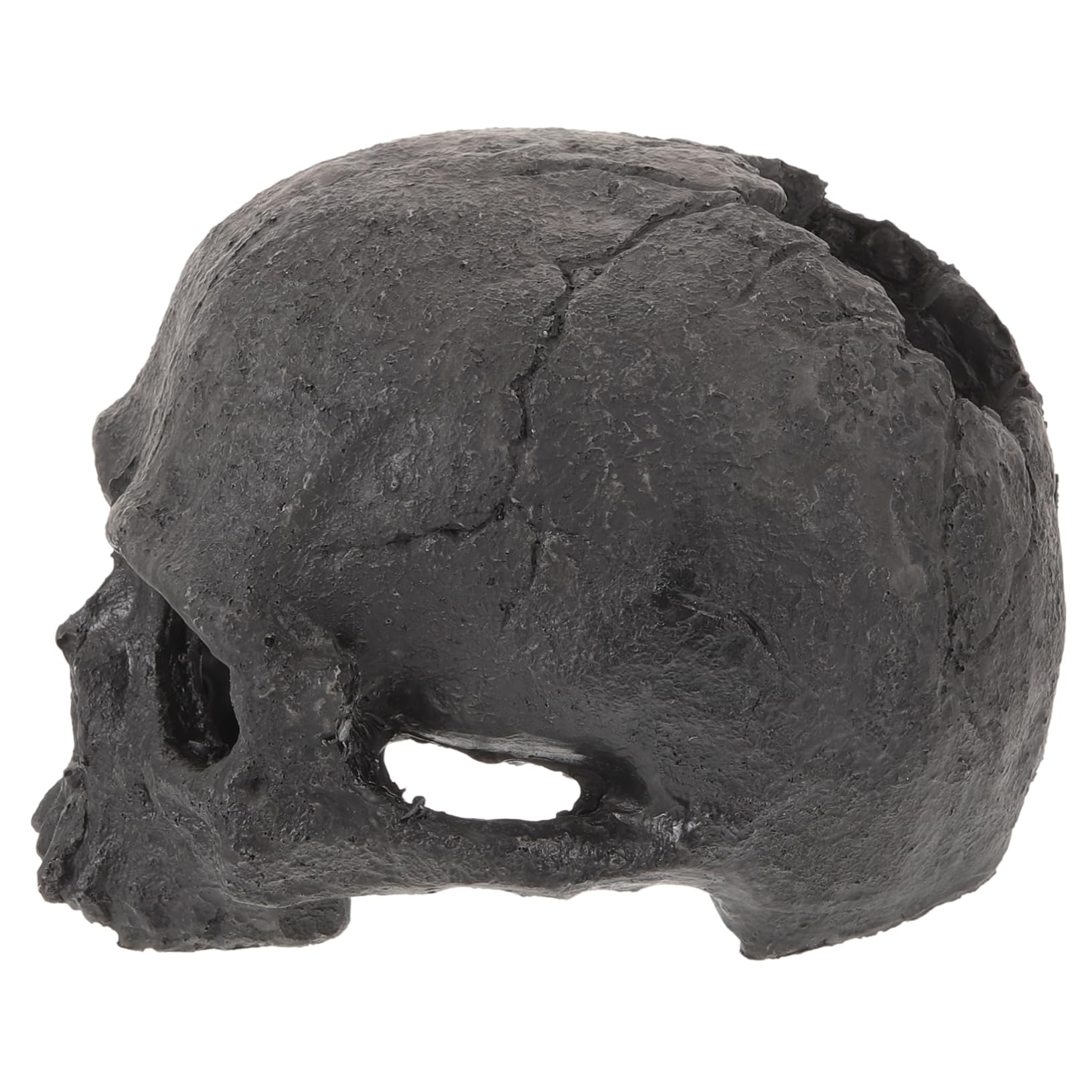 OUNONA Lot De 4 Têtes De Mort Décoratives pour Aquarium Tête De Mort Sirène Lézard Poissons Tropicaux Accessoires pour Aquarium Faux Reptiles Squelette en Résine Noire