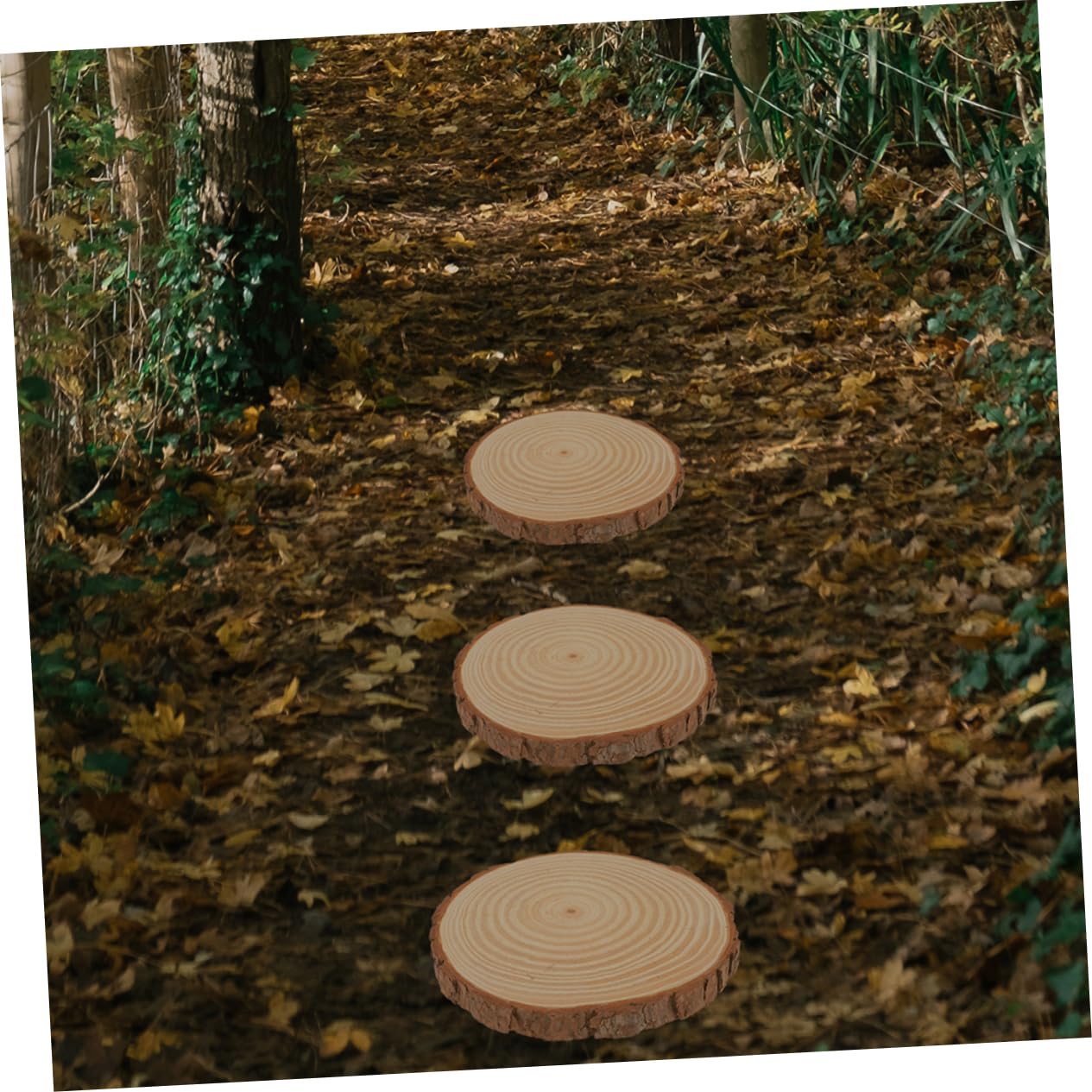 POPETPOP 2Pcs Outdoor Decorative Garden Stepping Stones Wooden Pathway Stones for Lawn Decor Non-Slip Walkway for Patios and Gardens