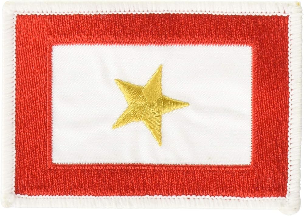 EagleEmblems PM3856 PM3856 패치-패밀리 MEMB.Gold Star Honor (6.4x8.9cm/2.5x3.5인치) — 사진 1