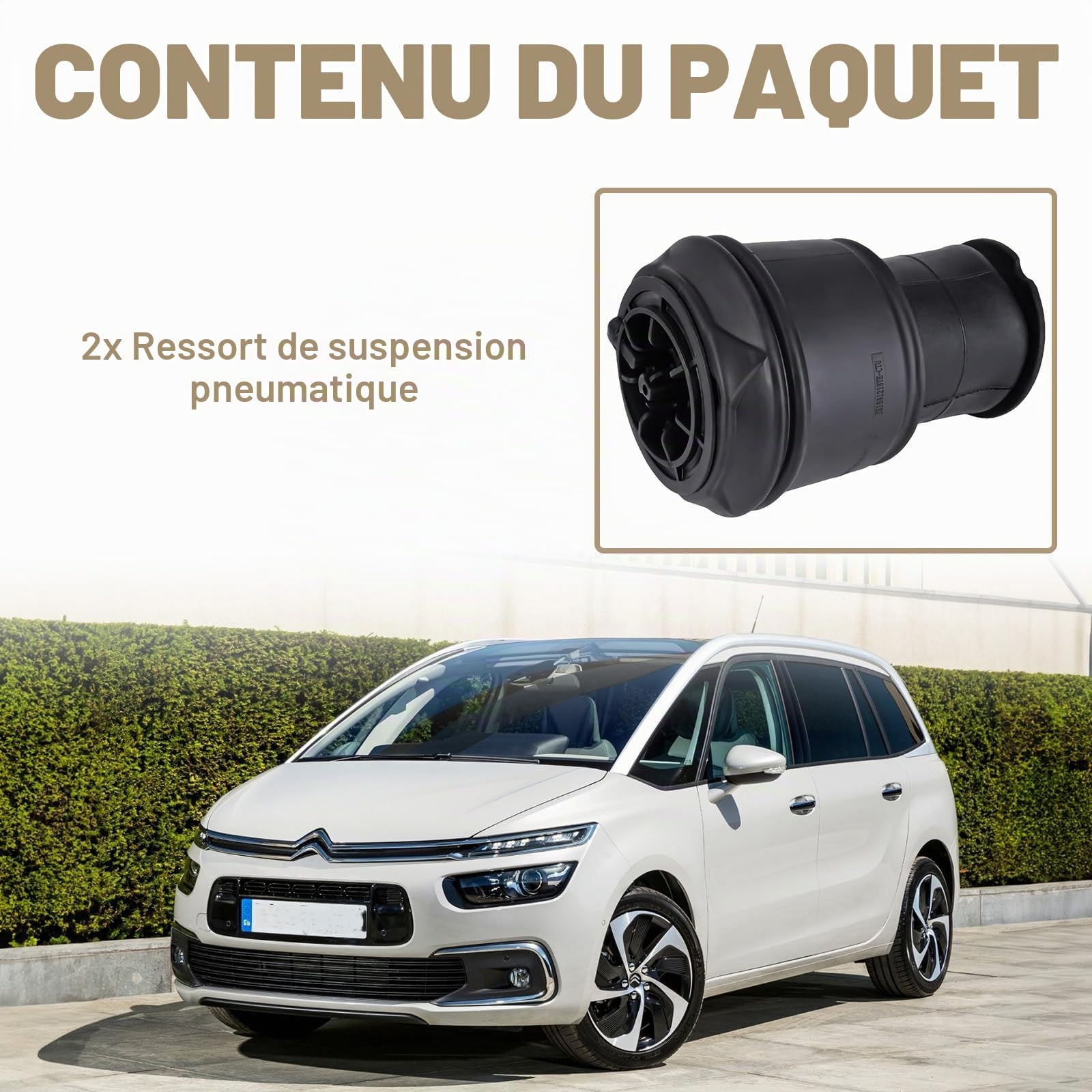 5102.R8 2Pcs sacs de suspension pneumatique arrière gauche et droite amortisseurs Compatible avec C4 Grand Picasso pièce# 5102.GN 9681946080 F307512401