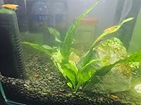 Review Image by Marilyn Marilyn