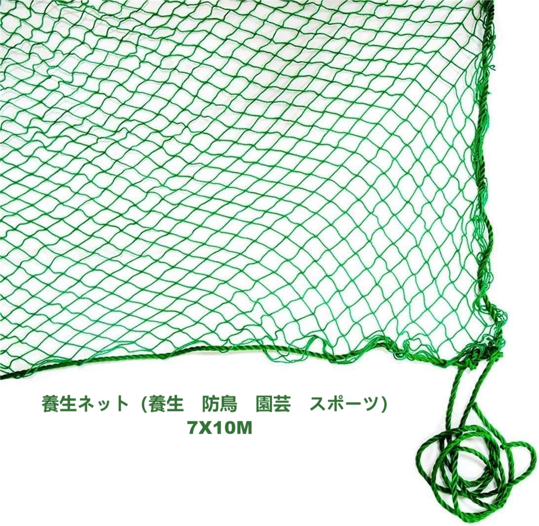 Amazon.co.jp: 建築養生ネット 防鳥ネット グリーンネット 多目的PP