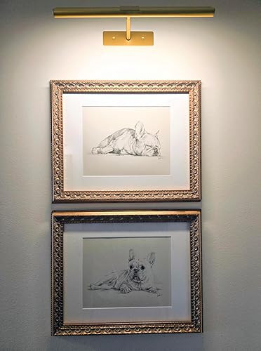 Review Image by Nicolette Rockwell