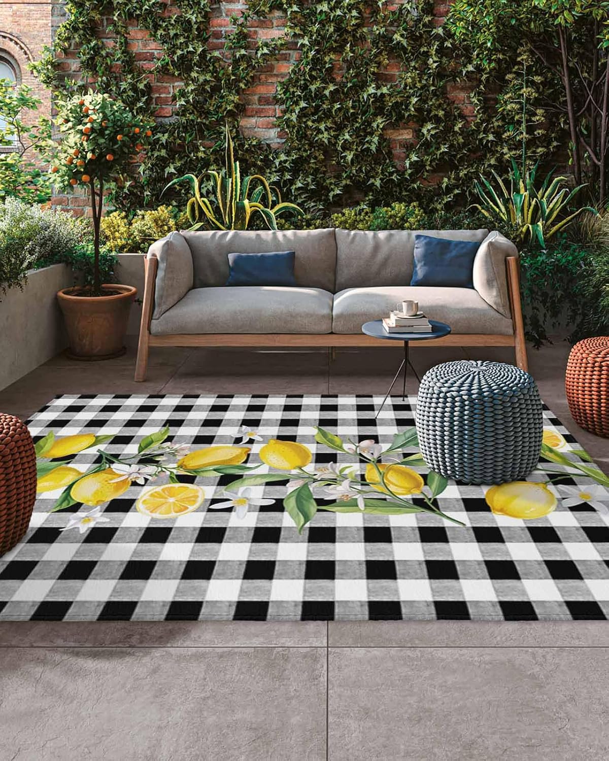 Outdoor Rug 4x6 ft Yellow Lemon Outdoor Large Area Rug Non Slip Summer Fruit Lemon Black White Buffalo Plaid Front Door Mat RV Rug Camping Carpet Patio Outdoor Rugs for Backyard Balcony Deck Indoor