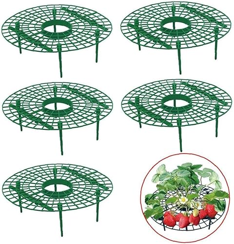 Miniatura 2 de 5 soportes de soporte de fresa, soporte de marco de fruta, estante de cultivo de plantas de jardín, estantes de cultivo de flores