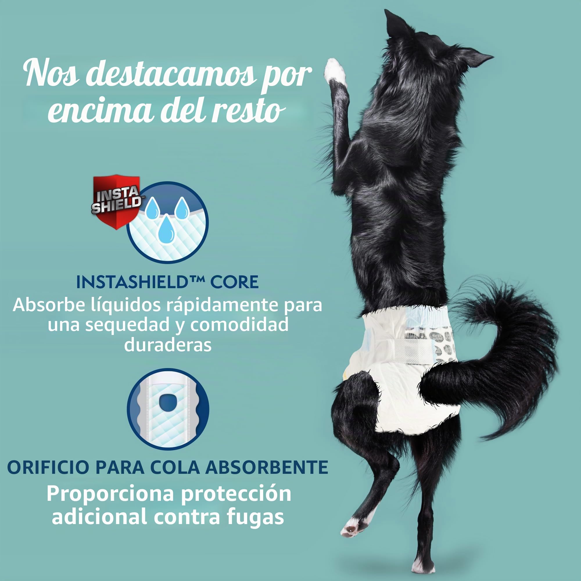 Simple Solution True Fit - Pañales desechables para perros hembra, súper absorbentes con indicador de humedad, 30 unidades, blanco, L/XL
