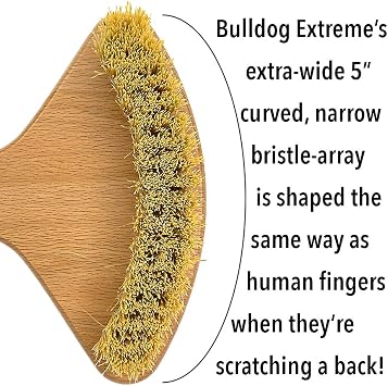 THE BULLDOG Extreme Back Scratcher, the Scratchiest Bulldog, with Extra Stiff Bristles for Serious Skin Itch Relief and Pleasure, Best Gift for Men and Women, Caution Extremely Scratchy