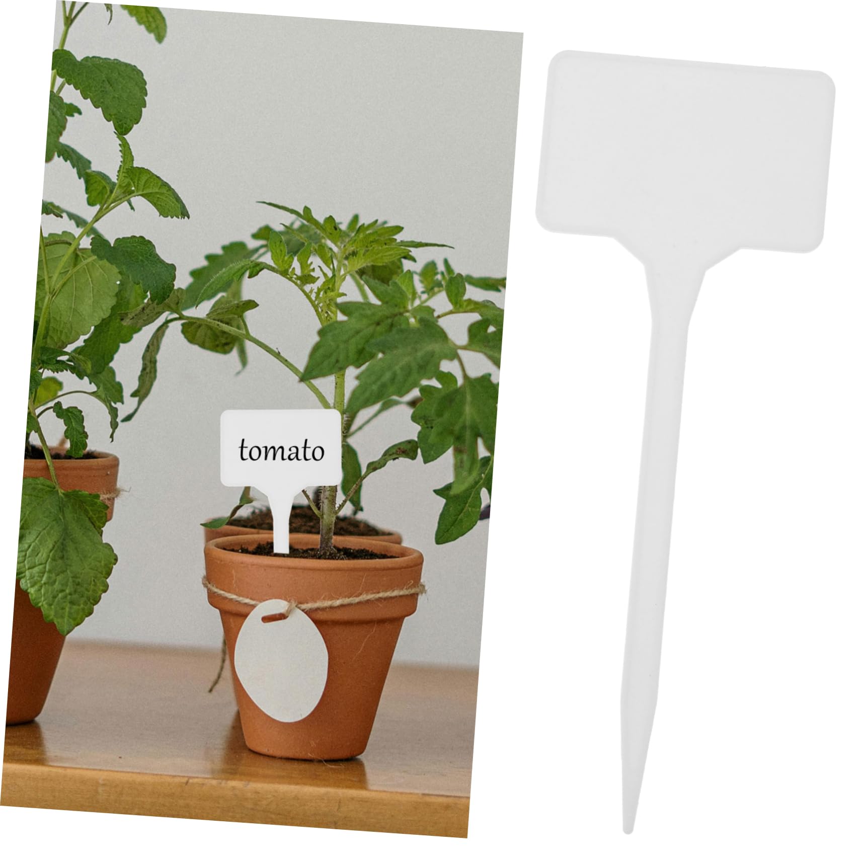 Abaodam 150pezzi Etichette Per Piante Plastica Per Giardinaggio Per Identificare e Decorare Piante Vasi e Aiuole Facili Da Scrivere e Inserire Per Uso Ed Esterno