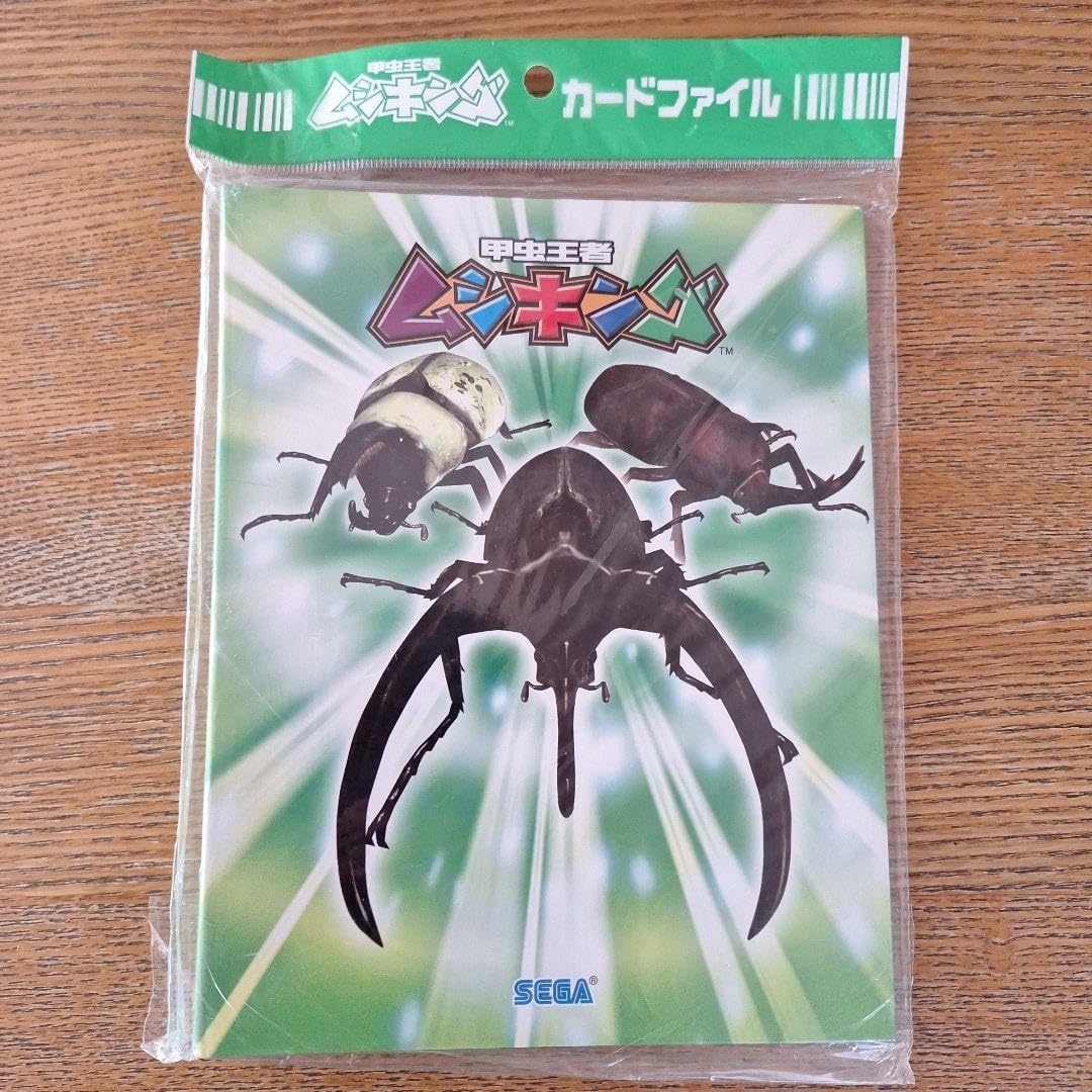 市野龍起、【大鷹】、希少な額装用画集より、新品額装付、状態良好