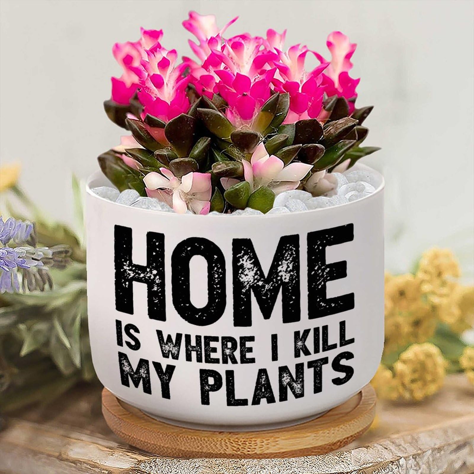 Amazon.com: DecStic Home is Where I Kill My Plants Ceramic Planter Saying  Quote Flower Pots for Indoor Plants with Drainage Holes and Saucers Pot for  Succulents Cactus Garden Windowsill : Patio, Lawn