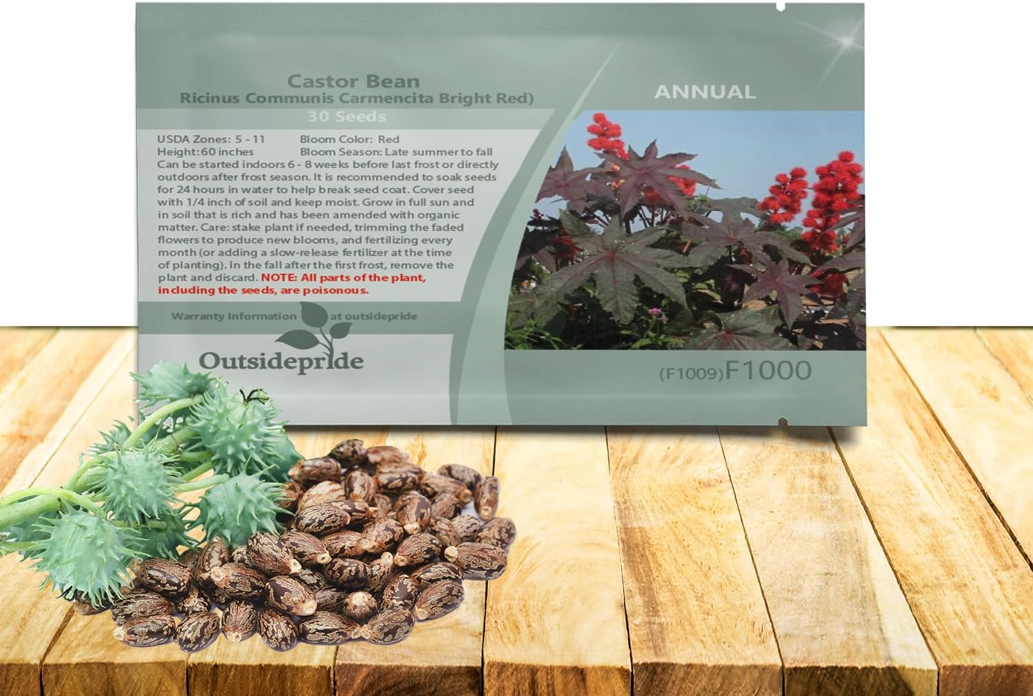 Outsidepride Bright Red Castor Bean Seeds - 30 Pcs Annual Quick-Growing Tropical Flower Seeds for Planting Vibrant Foliage & Colorful Blooms for Eye-Catching Borders, Gardens & Landscapes