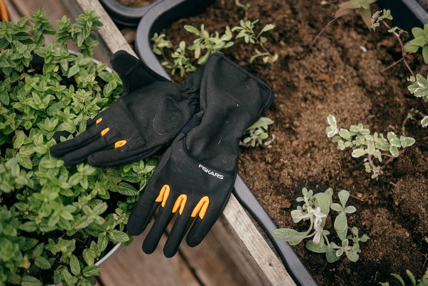 Fiskars Guantes para el Cuidado de Arbustos, Guantes de Trabajo para el Jardín, Pulgares y Puntas de los Dedos Compatibles con Pantallas Táctiles, Imitación de Cuero, Talla 10, Negro/Naranja, 1071153