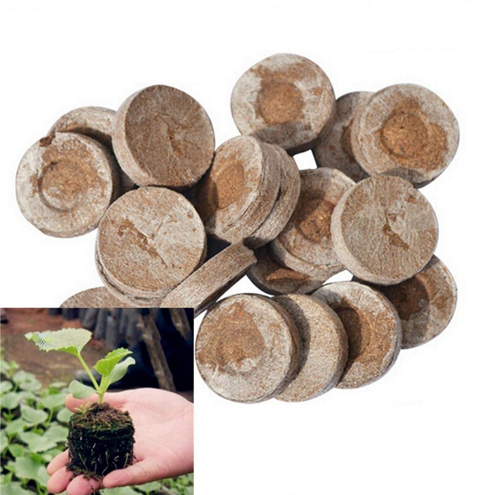 Buy Seed Fertilizer, Non-Woven Fabric Peat Free ent Block, Seed Starter ...