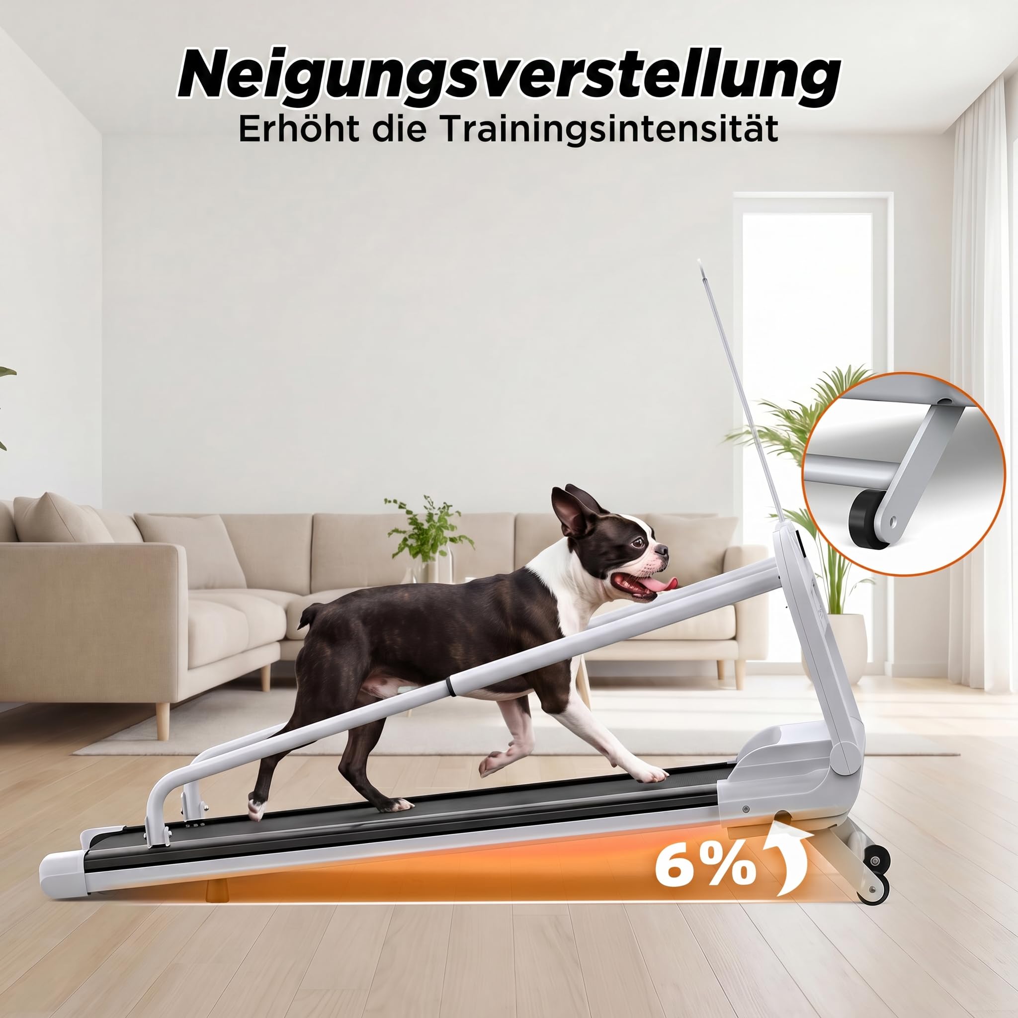 Hundelaufband für Kleine & Mittelgroße Hunde, 100 × 40 cm Laufbereich