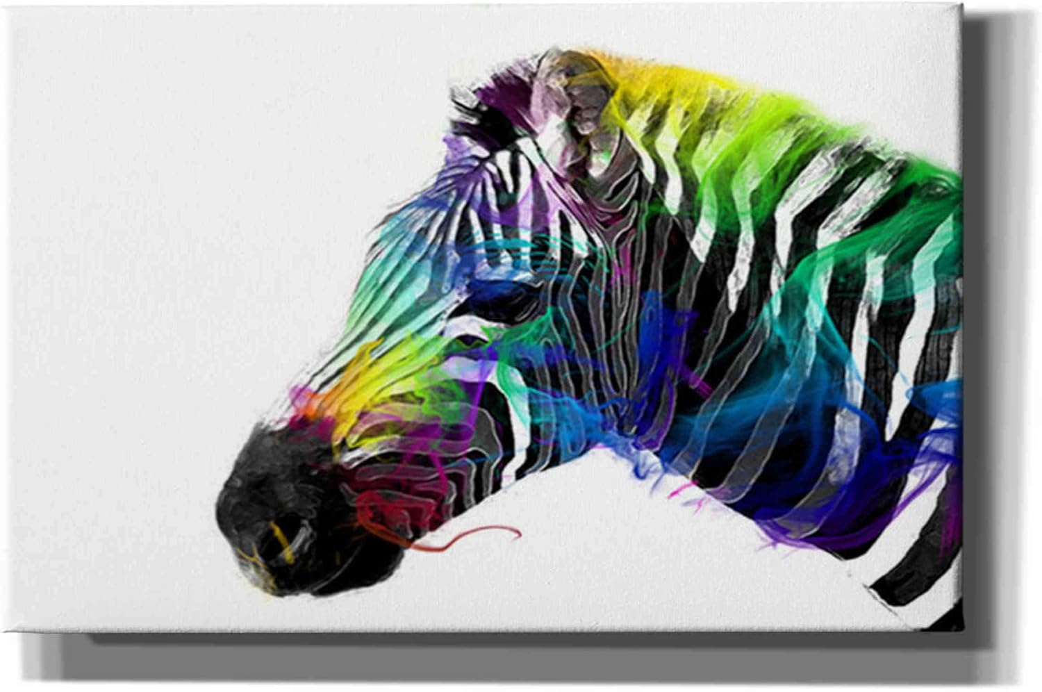 Epic Graffiti 'Zebra' by Karen Smith, Canvas Wall Art, 18"x12"