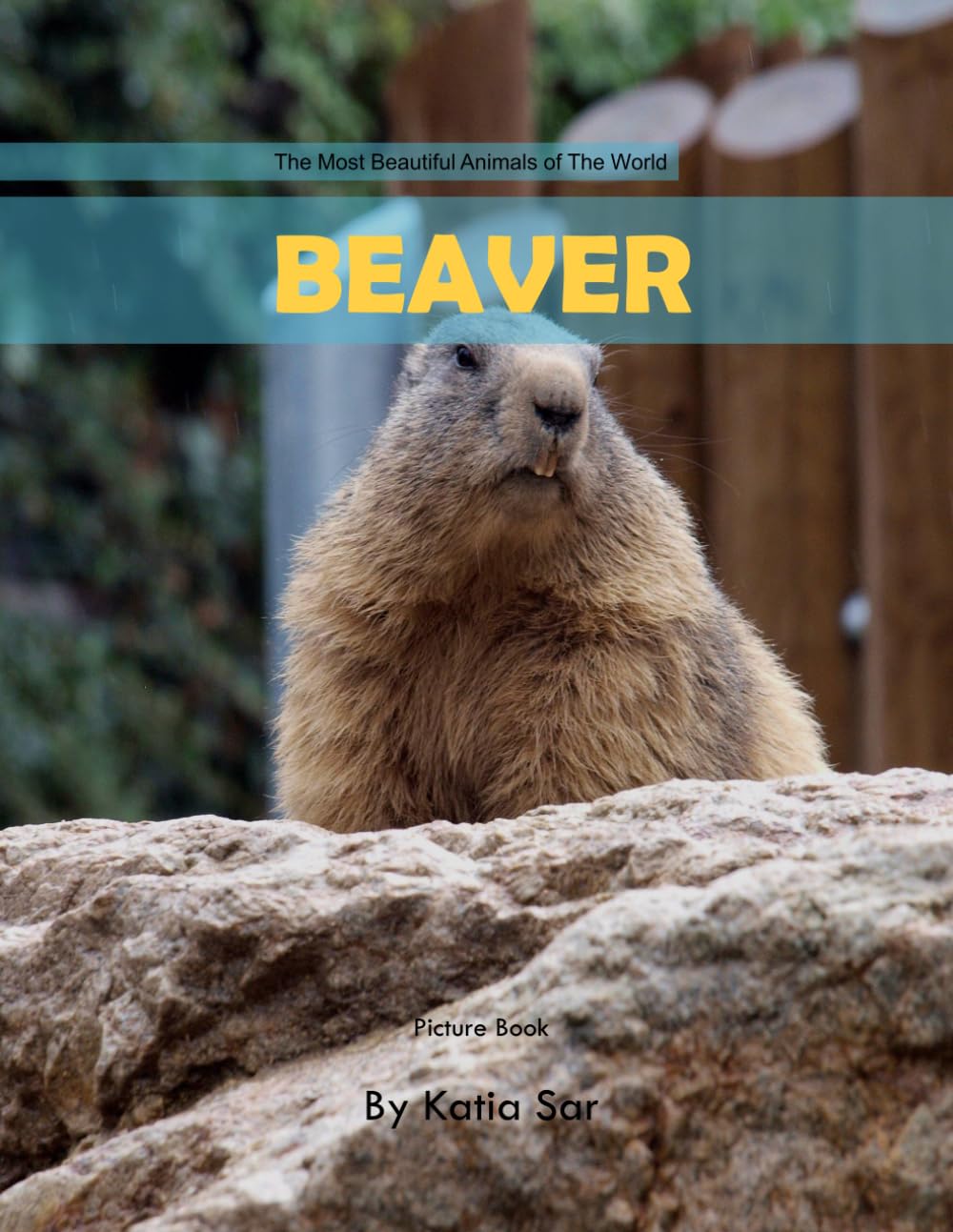 Beaver: A perfect Coffee Table Picture Book - For Animal Lovers and Wildlife Enthusiasts .