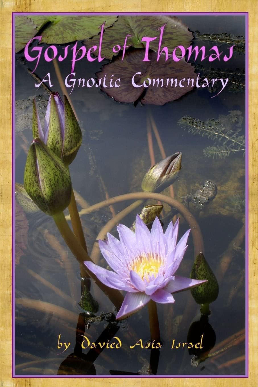 Gospel of Thomas: A Gnostic Commentary