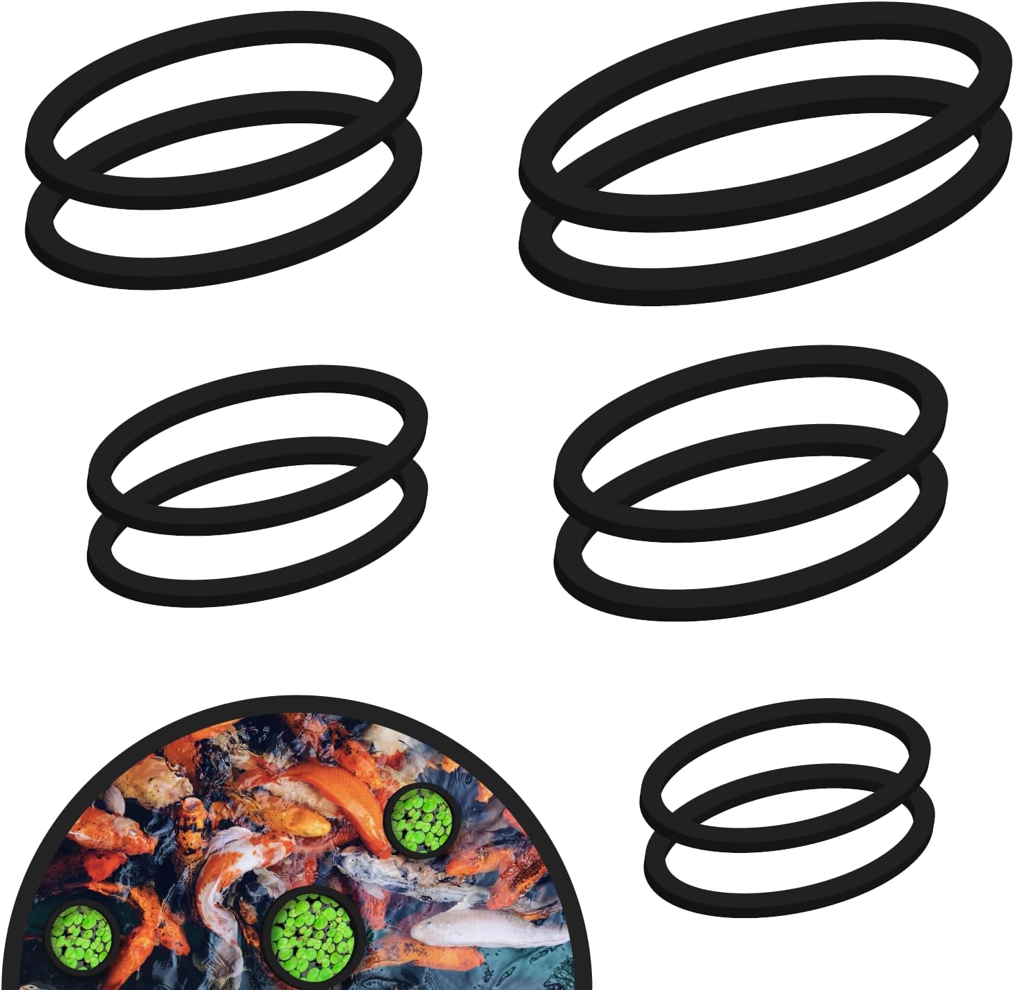 Amazon.com : Darege 10Pcs Aquarium Floating Ring, 5 Sizes Foam Fish ...