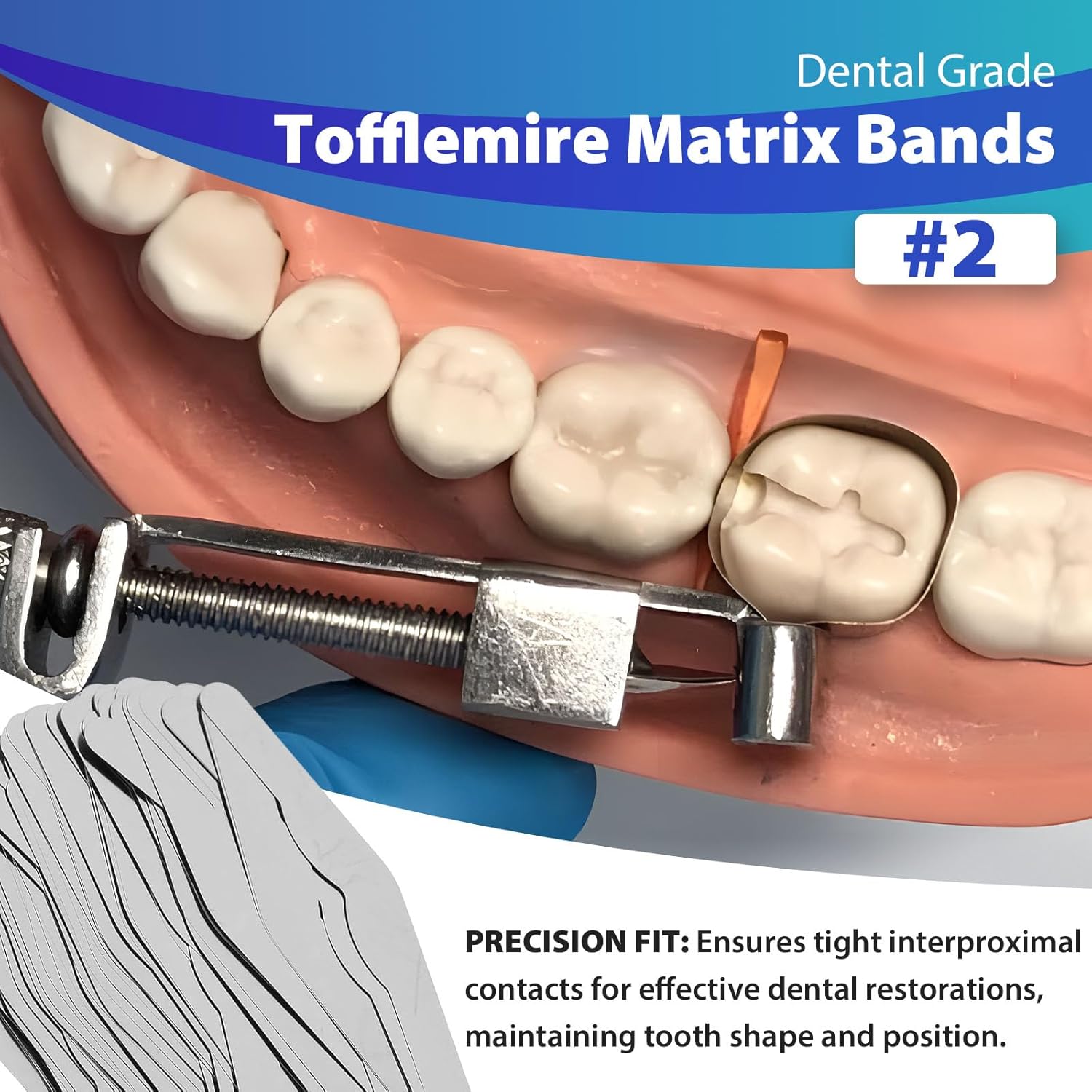 576 Dental Tofflemire Matrix Bands #2 | Stainless Steel, Thickness .0015"/0.04mm