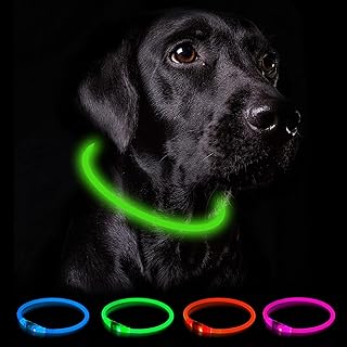 Nepfaivy Leuchthalsband Hund USB Aufladbar - Wasserdichtes Hundehalsband Leuchtend mit 3 Beleuchtungsmodi, Längenverstellbareres LED Halsband für Kleine, Mittlere und Große Hunde (Grün) product image