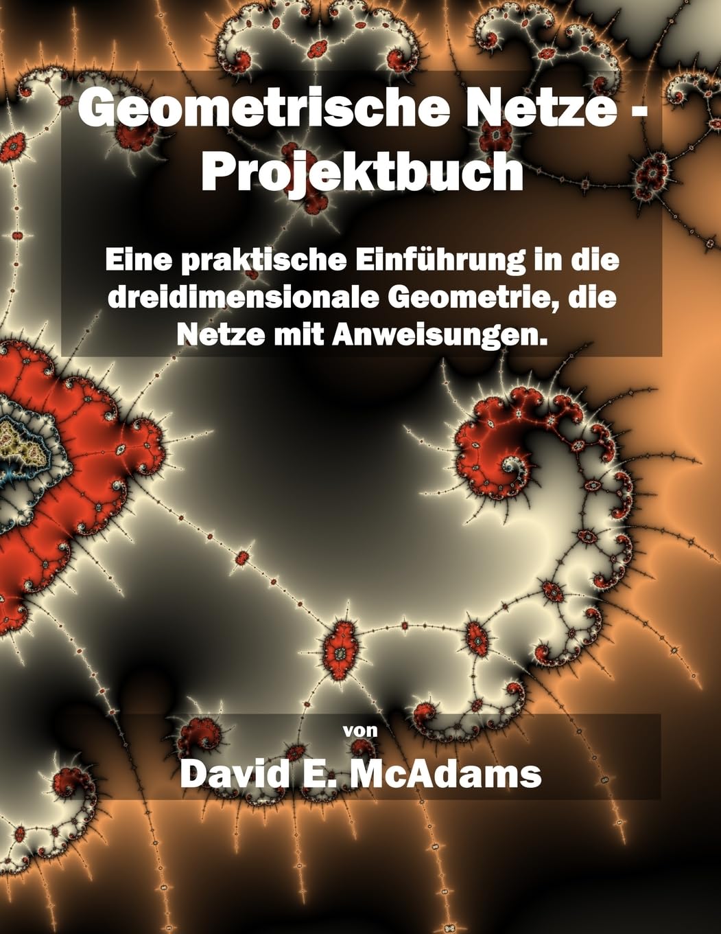 Geometrische Netze - Projektbuch: Eine praktische Einführung in die dreidimensionale Geometrie, die Netze mit Anweisungen (Mathematikbücher Für Kinder) (German Edition)      Paperback – May 26, 2023