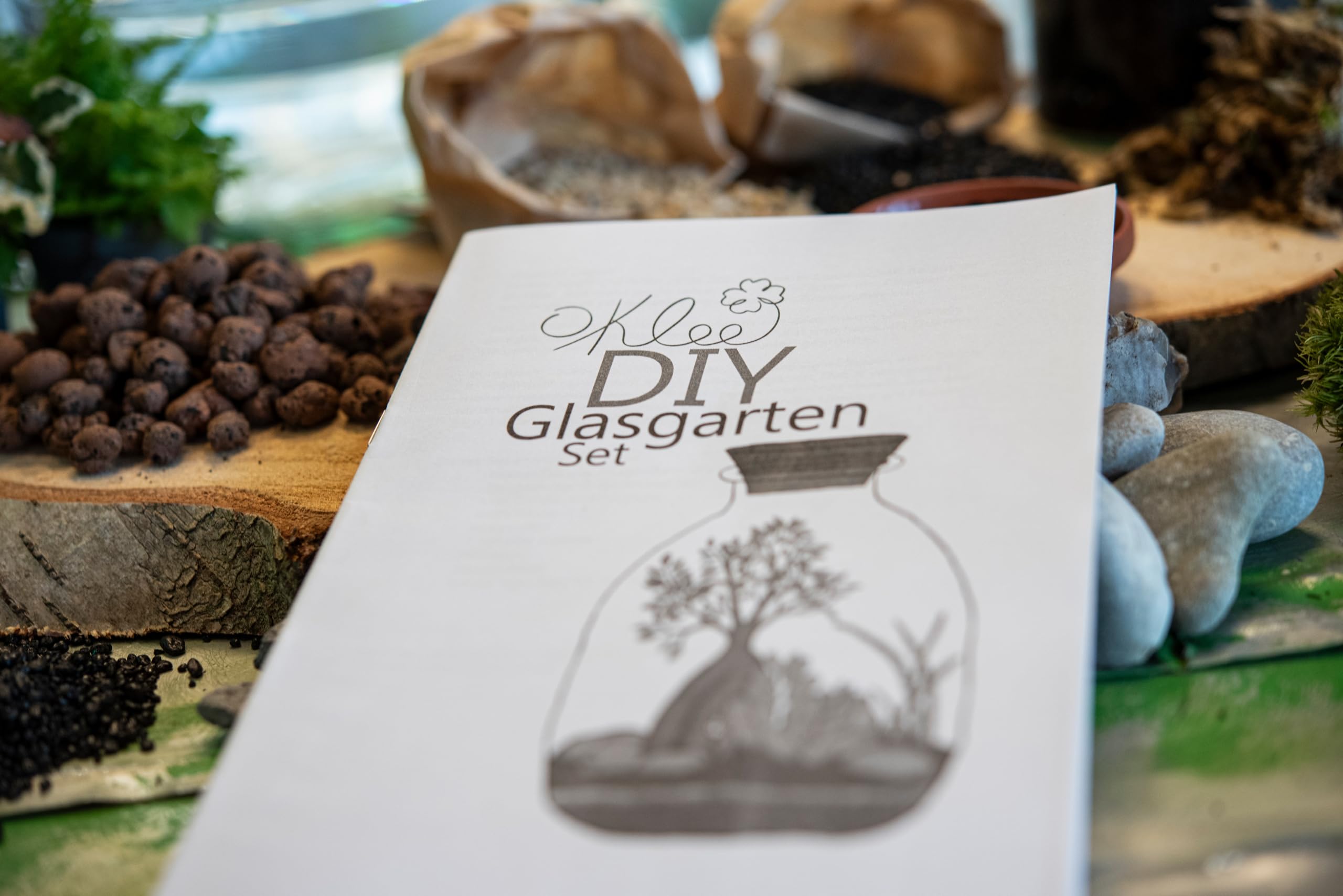 Glasgarten DIY Set „Kernige Fenja“ (Pflanzenterrarium/Flaschengarten)