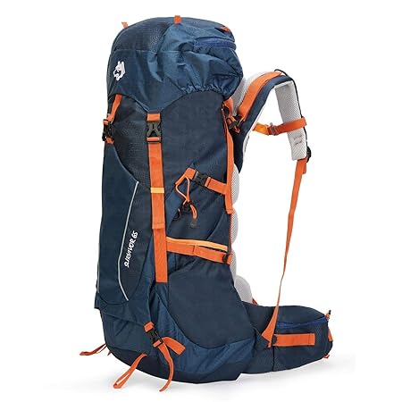 65l travel backpack