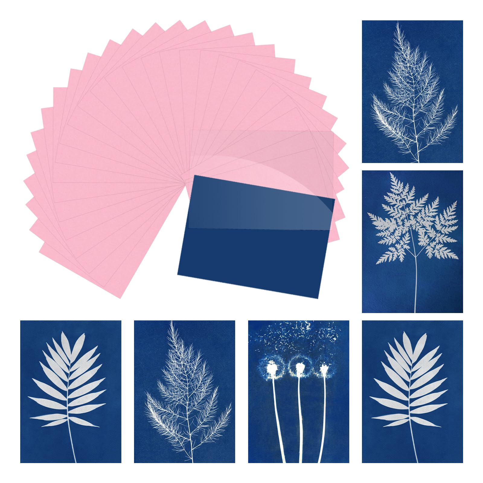 sourcing map Cyanotype Paper,12 Sheet Sun Print Kit High Sensitive Sun Pink Crafts Paper with Acrylic Board for Adults DIY Project Art,8.5x11.6 Inch (A4)