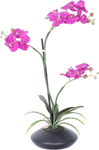 Vickerman Everyday - Orquídea artificial morada en maceta de 25 pulgadas, contenedor de cerámica negra, arreglo decorativo de plástico duradero para